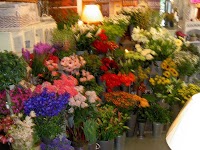 The Flower Shoppe 1097262 Image 0
